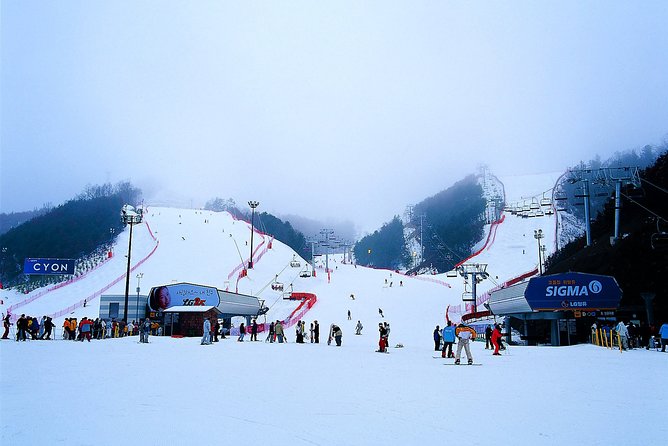 Nami Island + Ski Tour - Elysian Gangchon: choose your snow day
