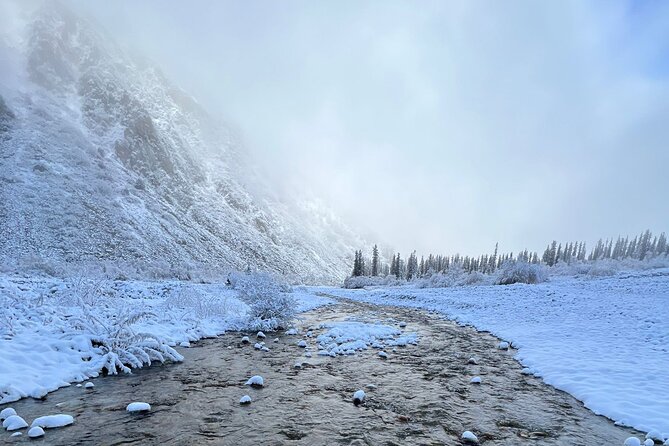 National park Ala-Archa & Chunkurchak ski base resort - What Farukh’s guiding style adds