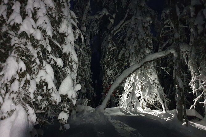 Nocturnal Skiing: Experience the Arctic's Magic - Getting Ready at the Family Cabin