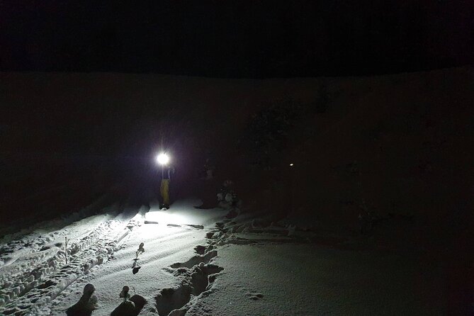 Nocturnal Skiing: Experience the Arctic's Magic - Following Headlamps Through Forest and Swamp