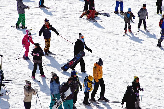 [OFFICIAL] Eden Valley Resort Winter Ski Day Tour from Busan - Who should book this Eden Valley day tour?