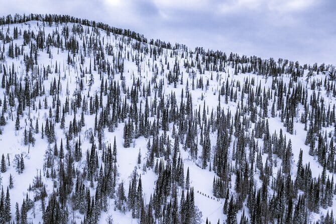 One Day Ski Tour Near Almaty - Why this Almaty ski day feels different