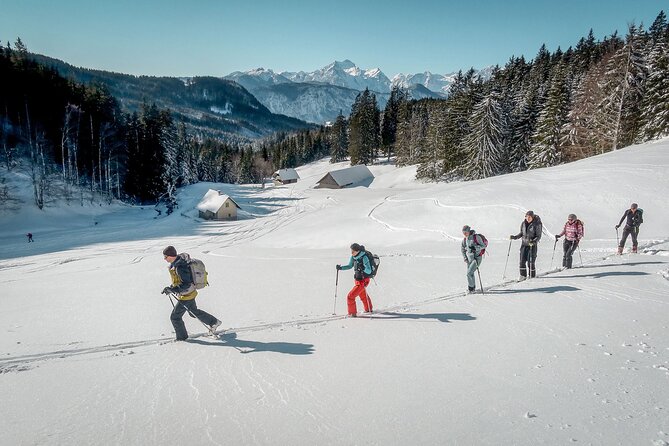 One Day Ski Touring Workshop - Testing the snow before trusting the slope