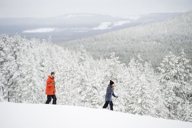 Premium Wilderness Skiing in Pyhä-Luosto National Park - Starting at Camp Kitchen & Bar at 10:00