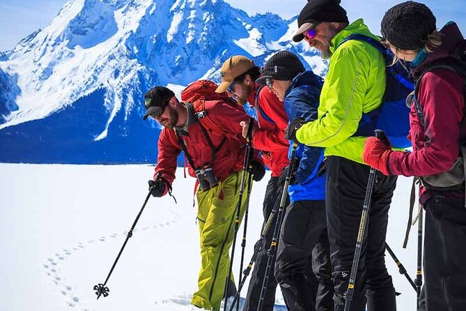 Private 4 Hour Beginner Cross Country Skiing in Grand Teton - The guide can shape the quality of the day