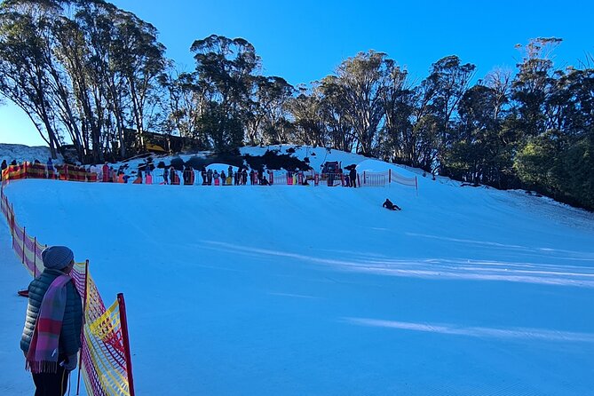 Private Mount Buller Snow and Ski Tour from Melbourne - The private vehicle is the real convenience