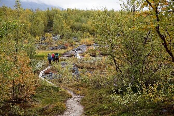 Private Northern Lights Tour With Skis Or Snowshoes in Pyhä - Key points to know before booking
