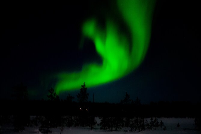 Private Northern Lights Tour With Skis Or Snowshoes in Pyhä - Choosing between skis and snowshoes