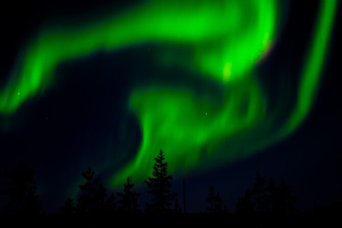 Private Northern Lights Tour With Skis Or Snowshoes in Pyhä - Who gets the best value for $169.24?