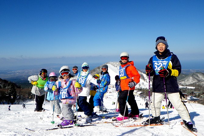 Private ski lesson for family or group(Transport included ) - A 9:50 am lesson built around ability