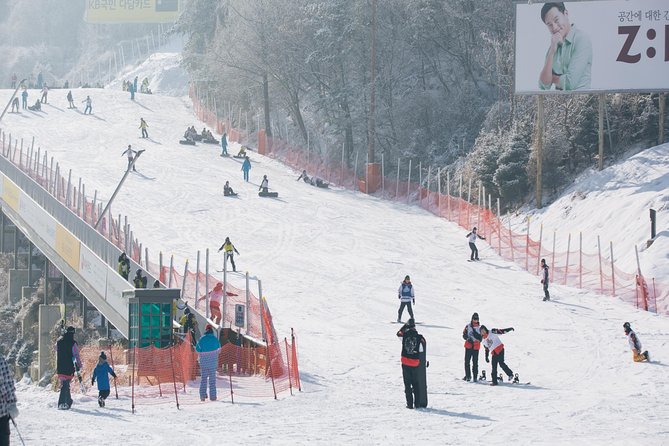 Private Ski Tour(Lesson) near Seoul at Elysian Gangchon Resort - Who should book this Elysian Gangchon tour?