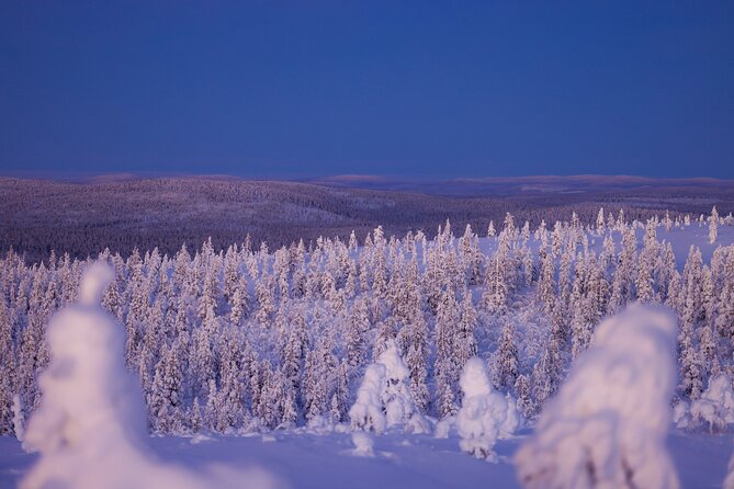 Private Snowshoe or Ski Adventure in Lapland from Rovaniemi - Two ways to explore Lapland on foot