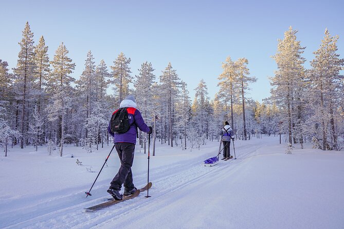 Private Snowshoe or Ski Adventure in Lapland from Rovaniemi - How much value do you get for $1,183.48?