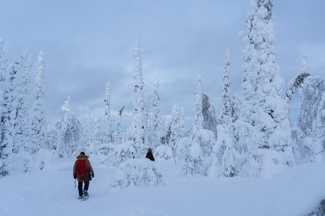 Private Snowshoe or Ski Adventure in Lapland from Rovaniemi - Who should book this private winter day?