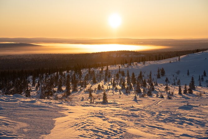 Private Snowshoe or Ski Adventure in Lapland from Rovaniemi - Practical details that affect your day