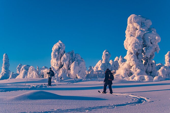 Private Snowshoe or Ski Adventure in Lapland from Rovaniemi - Starting at 8:30 am in central Rovaniemi
