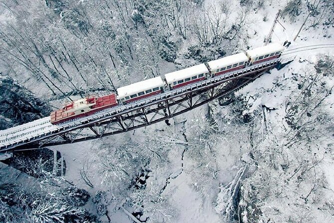 Private Tour to Bakuriani Ski Resort and the Legendary Borjomi - Key points to know before you book