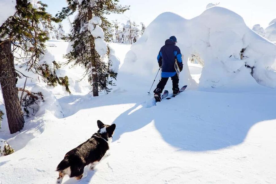 Pyhä: Skiing Tour in Arctic Forest - Through snowy forests near Pyhäjärvi
