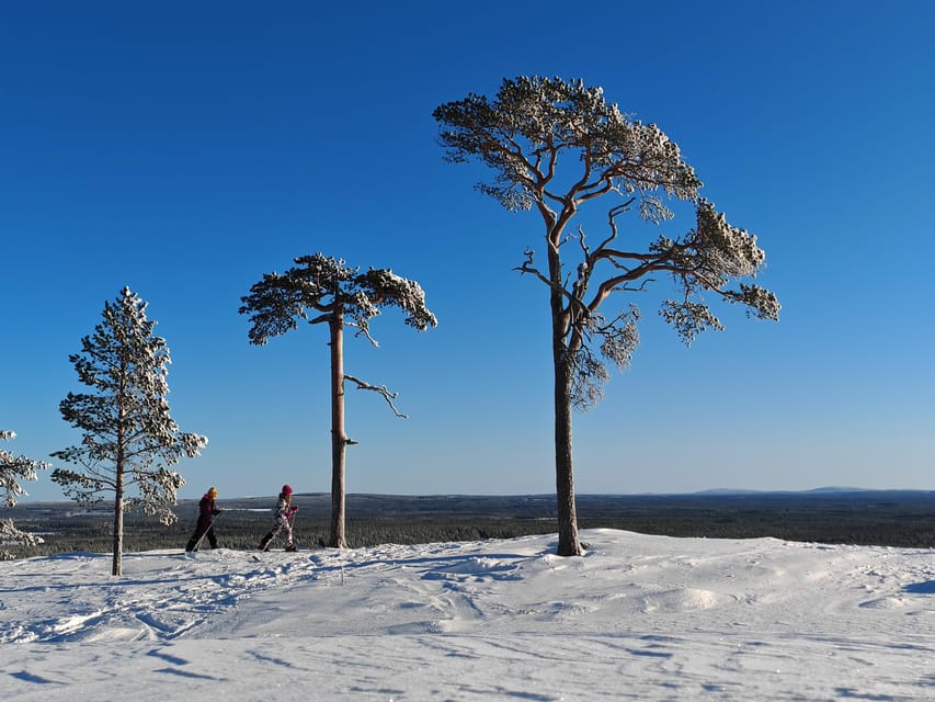 Pyhätunturi: Try Wilderness Skiing in Finnish Lapland - Who should book this outing
