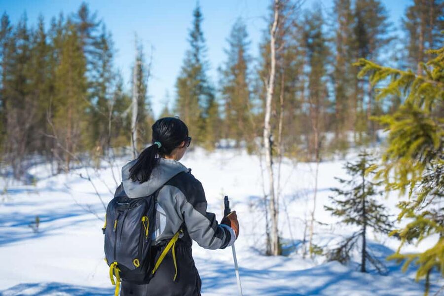 Rovaniemi: Backcountry Skiing Adventure - Key details about the forest ski outing