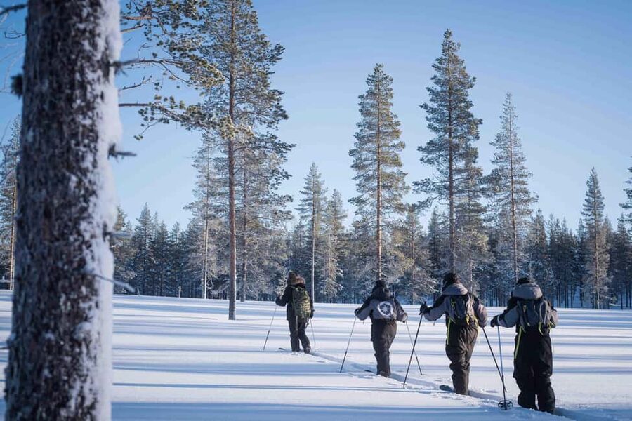 Rovaniemi: Backcountry Skiing Adventure - Leaving Rovaniemi for the quiet forest