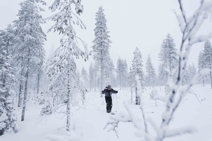 Rovaniemi: Backcountry Skiing Adventure - Should you book the Rovaniemi backcountry ski tour?