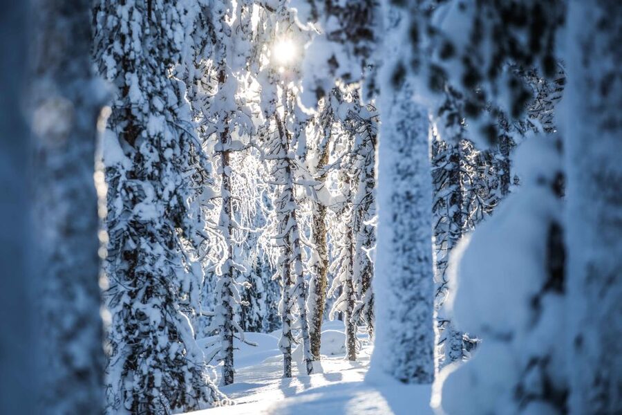 Rovaniemi: Backcountry Skiing Adventure - FAQ