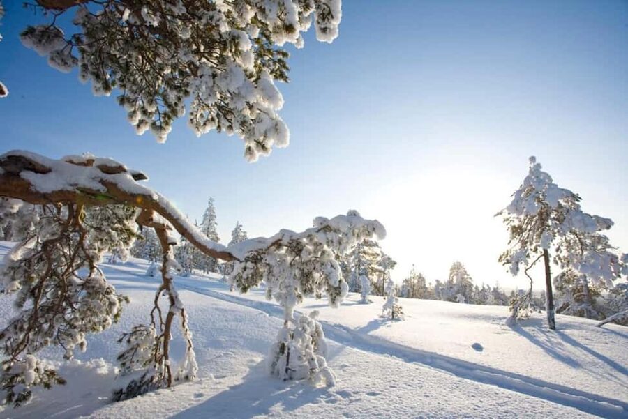 Rovaniemi: Cross-Country Skiing Adventure with Guide - Why the small group of eight matters