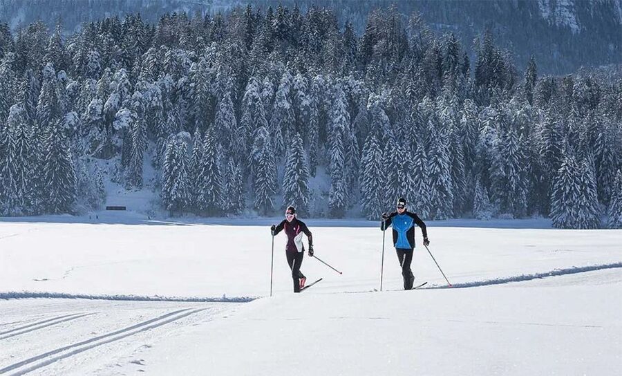 Rovaniemi: Cross Country Wilderness Ski Adventure - What the forest section feels like