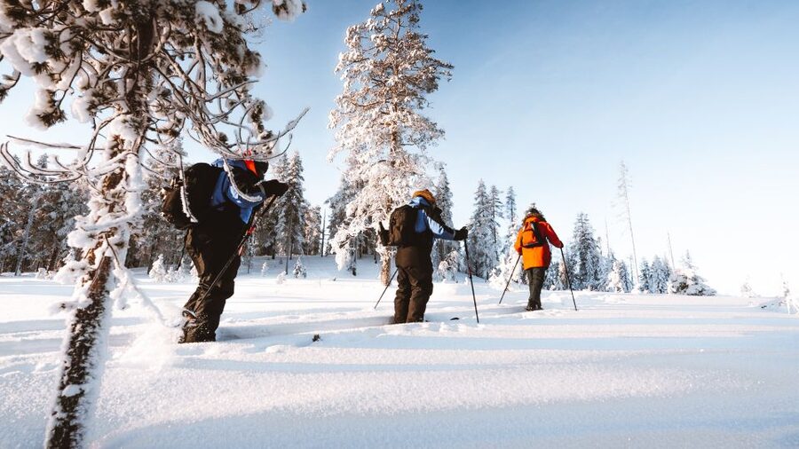 Rovaniemi: Lapland Ski Trekking Safari - Who should book this safari?