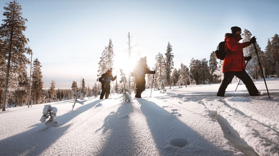 Rovaniemi: Lapland Ski Trekking Safari - Why the route feels different from ordinary skiing