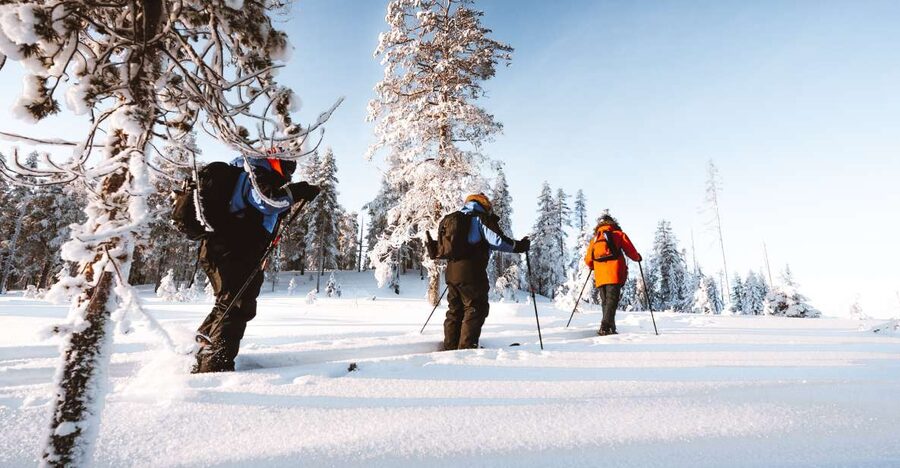 Rovaniemi: Lapland Ski Trekking Safari - Cold-weather planning for Rovaniemi