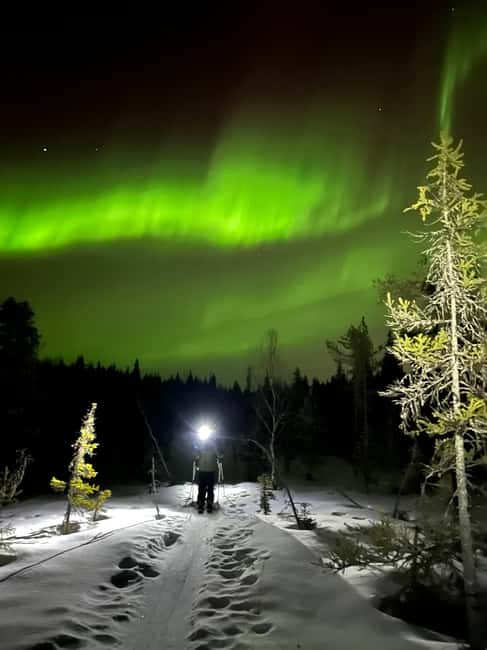 Rovaniemi: Nighttime Ski Adventure ending with Campfire - Through forest, frozen swamp, and open lake