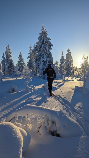 Saariselkä: Back-Country Skiing Guided Tour - Leaving Saariselkä’s marked ski trails