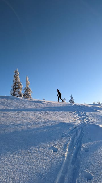 Saariselkä: Back-Country Skiing Guided Tour - Taking a warm drink in the cold