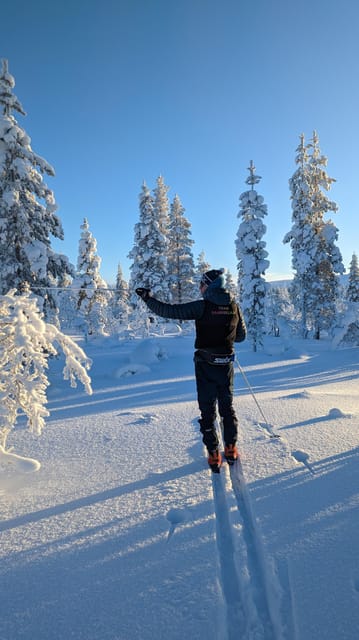 Saariselkä: Back-Country Skiing Guided Tour - What the $94 price buys you