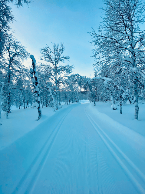 Saariselkä: Cross-Country Skiing for beginners - Who should book this Saariselkä ski lesson