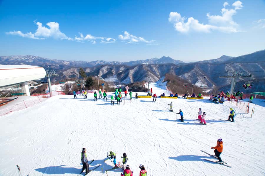 Seoul: Elysian Gangchon Winter Ski Resort Fun Day Tour - Is the $15 starting price good value?