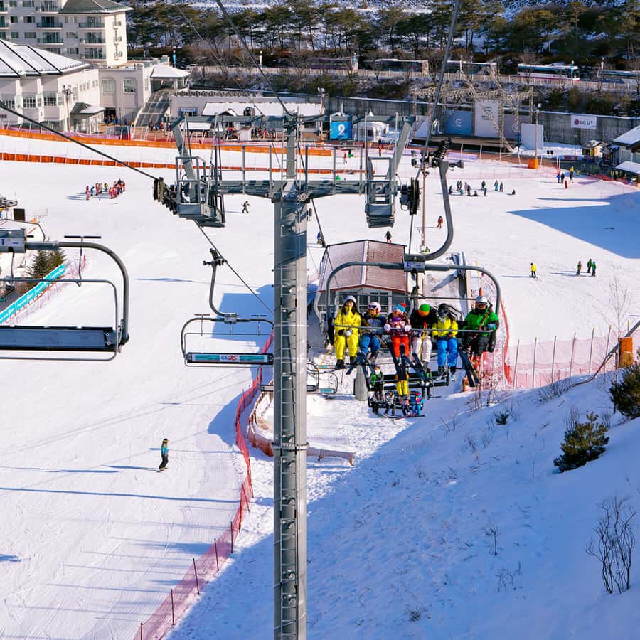 Seoul: Elysian Gangchon Winter Ski Resort Fun Day Tour - Choosing between ski, snowboard, sled, and lift packages