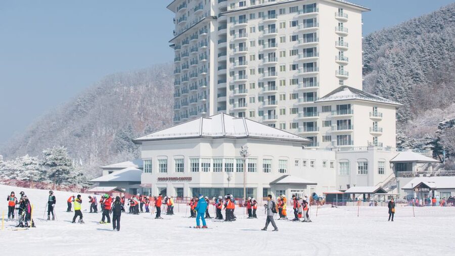 Seoul: Elysian Gangchon Winter Ski with Nami Island Day Tour - Why this Seoul winter day works