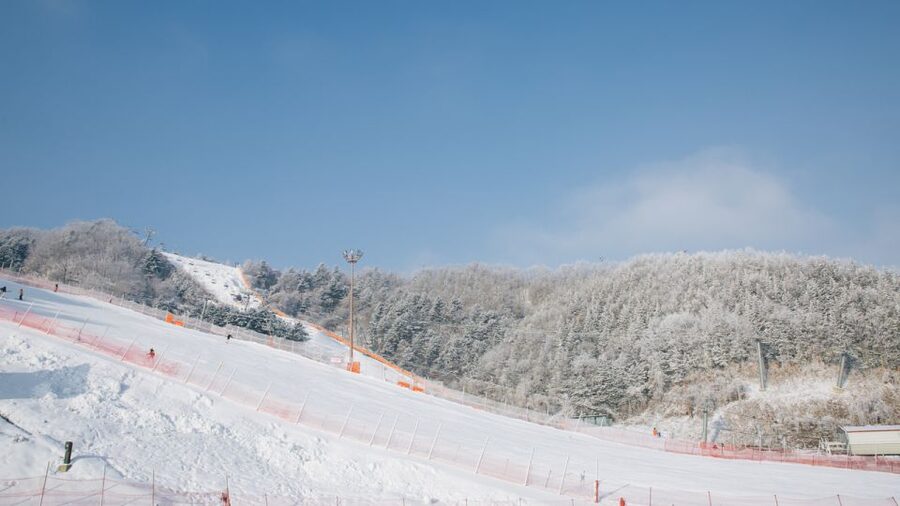 Seoul: Elysian Gangchon Winter Ski with Nami Island Day Tour - Choosing between the five winter packages