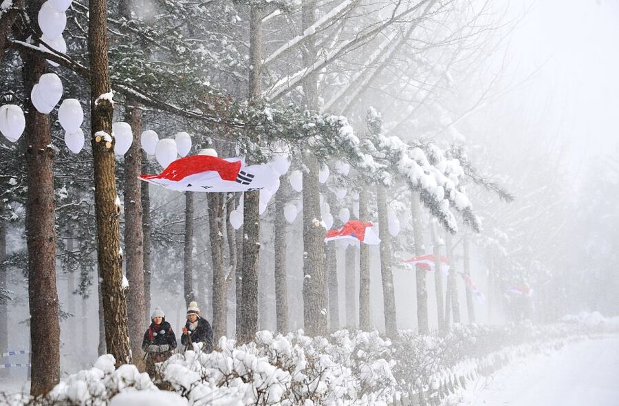 Seoul: Elysian Gangchon Winter Ski with Nami Island Day Tour - What the one-hour beginner lesson is really worth