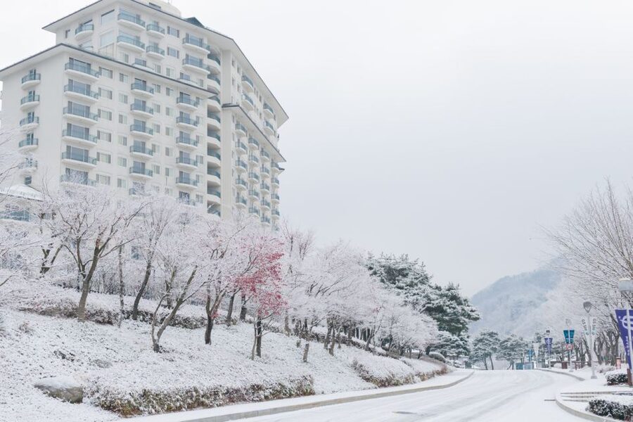 Seoul: Elysian Gangchon Winter Ski with Nami Island Day Tour - Food, clothing, and what to bring