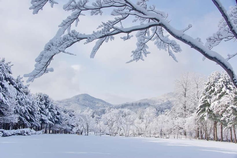 Seoul: Elysian Gangchon Winter Ski with Nami Island Day Tour - Starting from Seoul and riding out to Gangwon Province