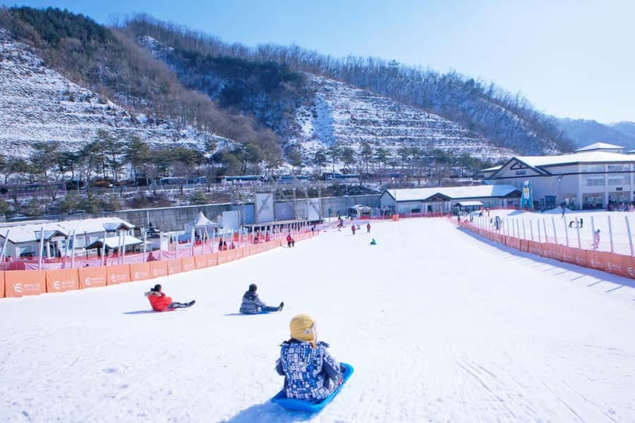 Seoul: Elysian Ski Resort One Day Tour - Choosing between free time, skiing, and sledding