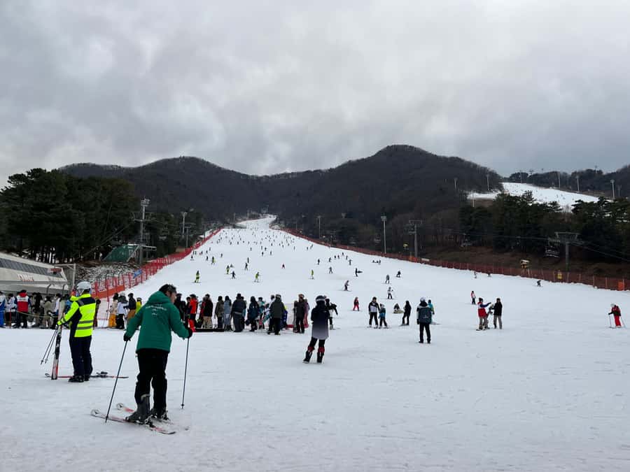 Seoul: Elysian Ski Resort One Day Tour - Snowboarding and extra lessons