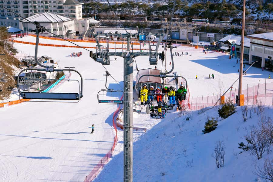 Seoul: Elysian Ski Resort One Day Tour - Who will enjoy this winter day most
