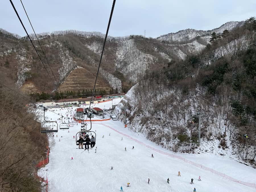 Seoul: Elysian Ski Resort One Day Tour - Six hours at the resort, with room to choose your pace