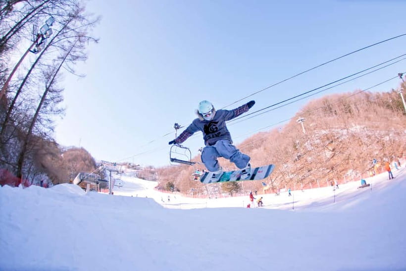 Seoul: Full-Day Winter Trip Ski Resort, Ice Valley, Namiseom - Key points at a glance