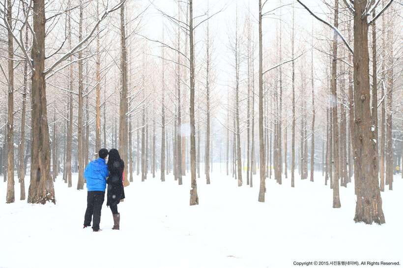 Seoul: Full-Day Winter Trip Ski Resort, Ice Valley, Namiseom - Who should book this $48 winter outing